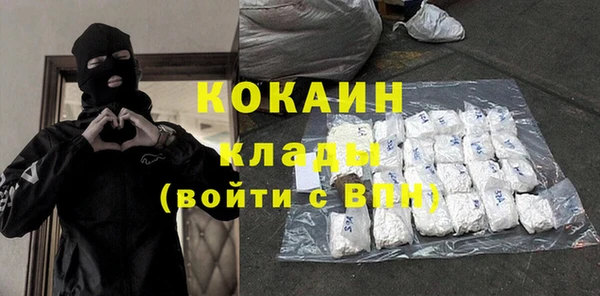 бошки Осинники