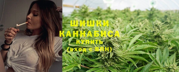 бошки Осинники