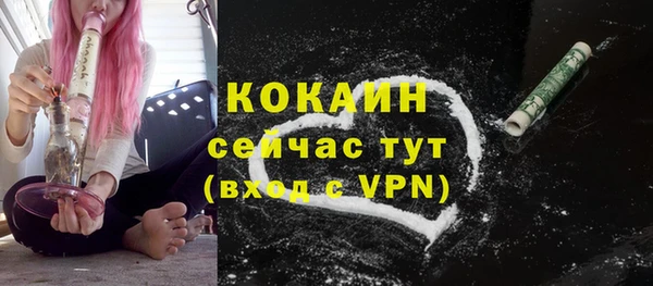 бошки Осинники