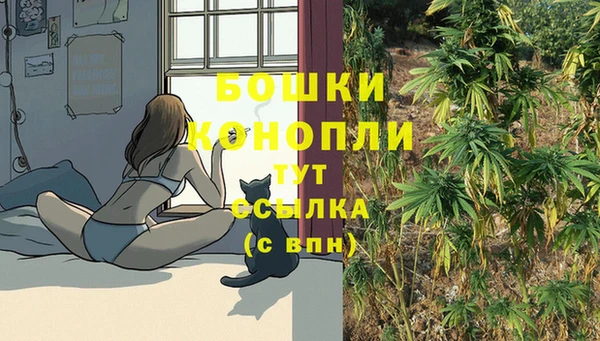 бошки Осинники