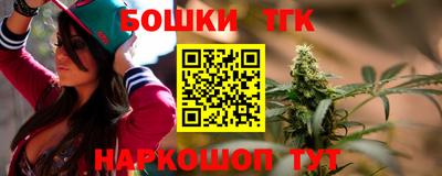 тгк Кингисепп