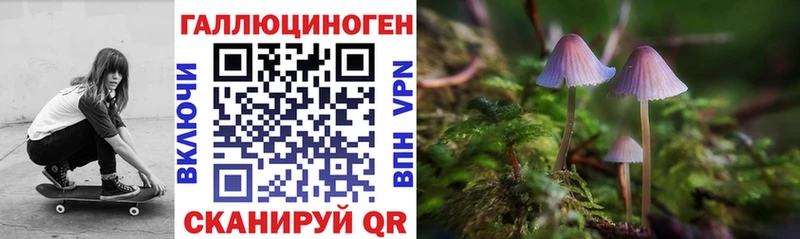 где продают   Сатка  Псилоцибиновые грибы мухоморы 