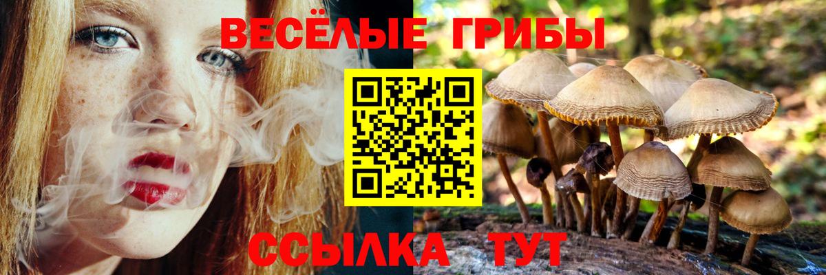 Псилоцибиновые грибы Magic Shrooms Сатка
