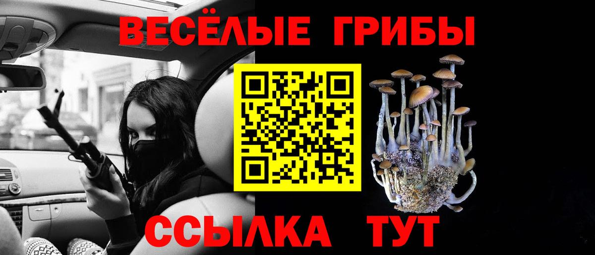 Сатка  Галлюциногенные грибы Psilocybe  Псилоцибиновые грибы ЛСД  Вход с VPN 